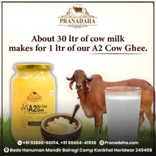 583959035_122149451876867607_3443183593355930867_n (1)