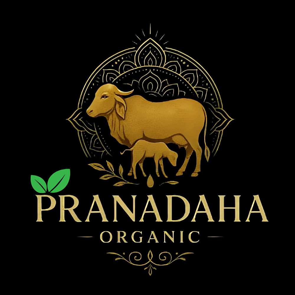 a2 cow ghee