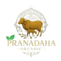 pranadaha logo